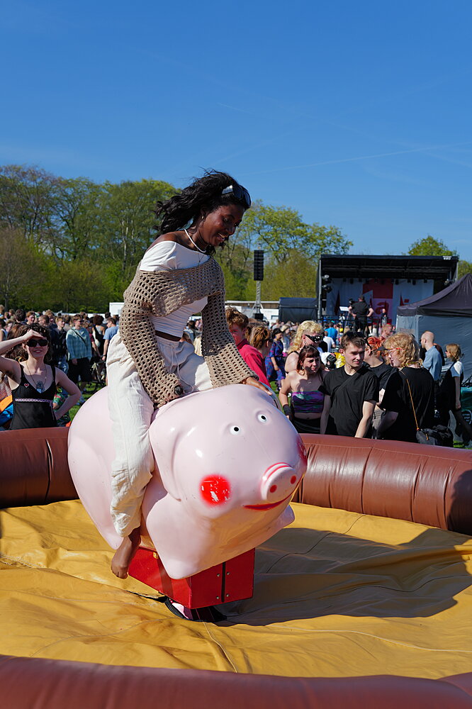 Grise rodeo