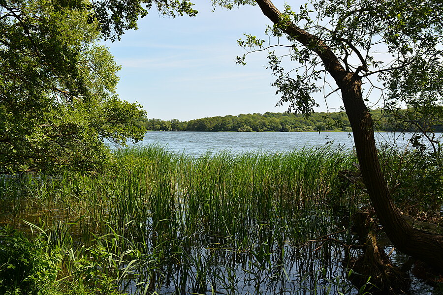 Farum Sø