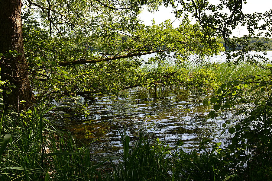 Reflekser i vand