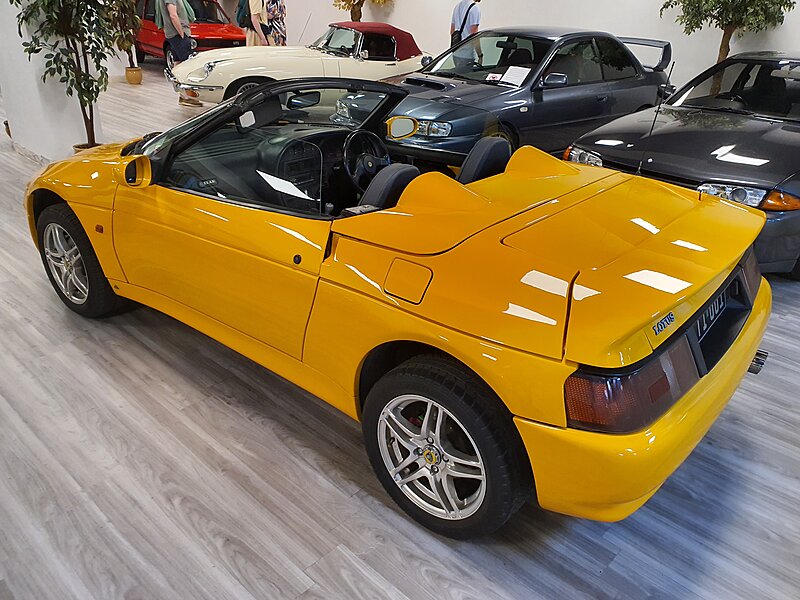 Lotus
