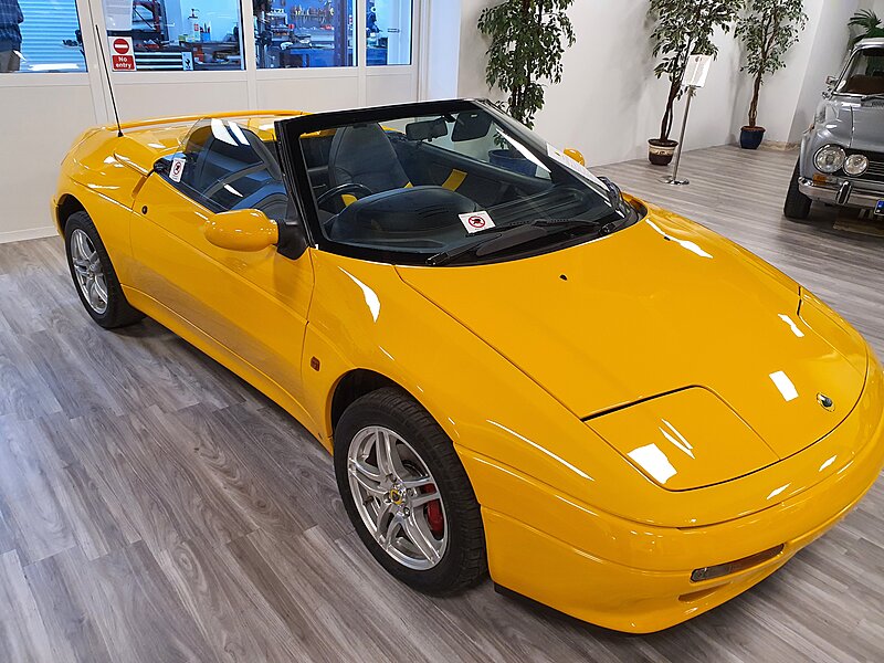 Lotus