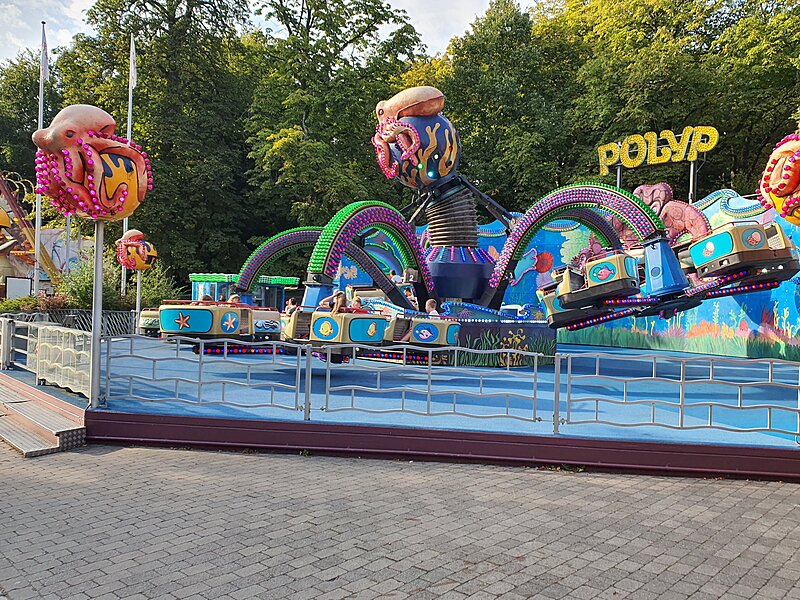 Polyp