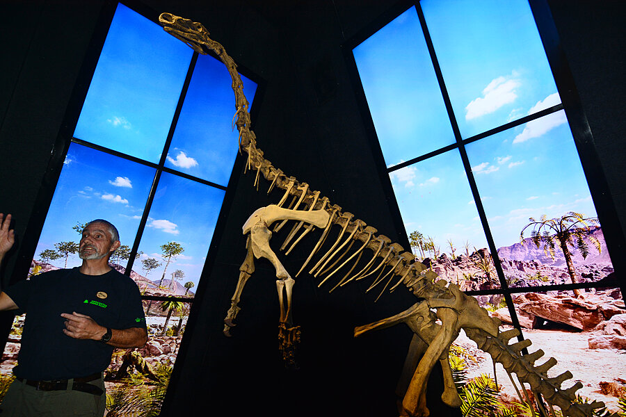 Dinosauerskelet
