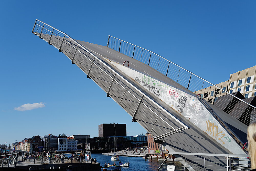 Butterfly Bridge