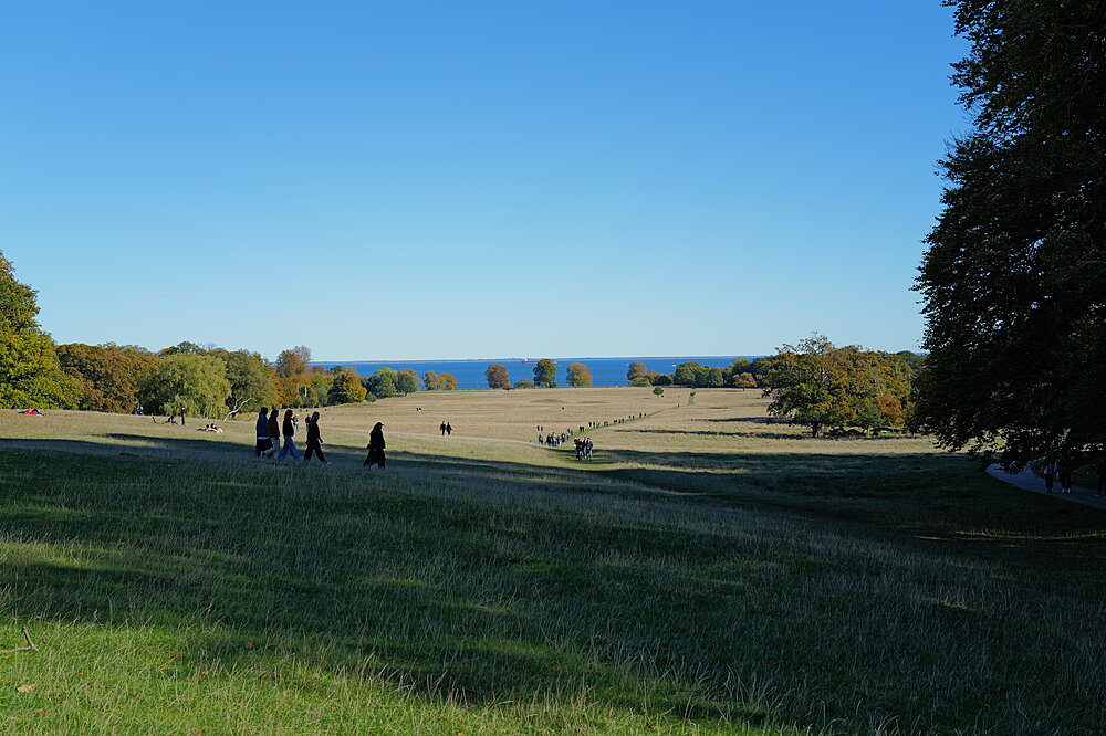 Øresund i baggrunden