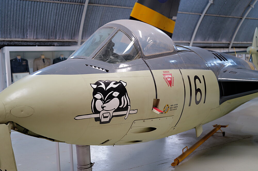 Fly 161