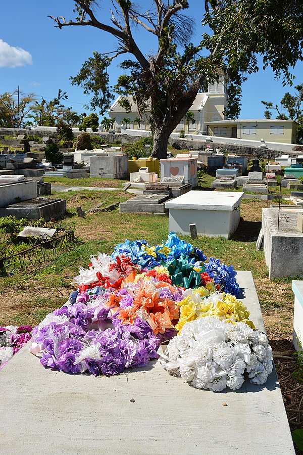 Blomster på grave