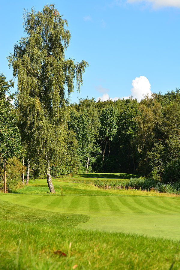 Grønt efter vandrig sommer