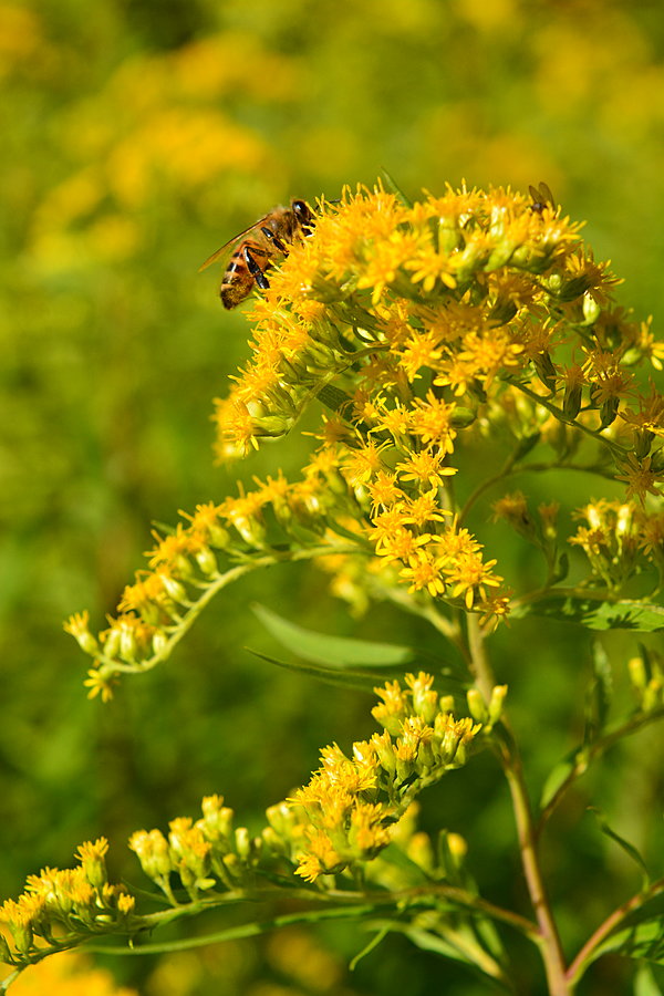 Sidste chance før efterår