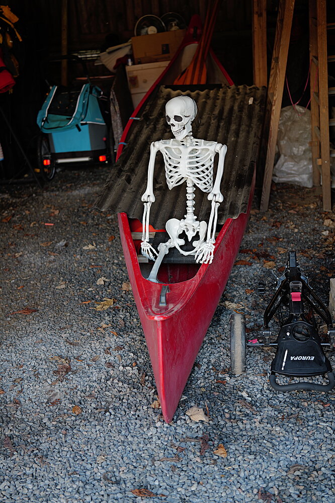 Skelettet i garagen