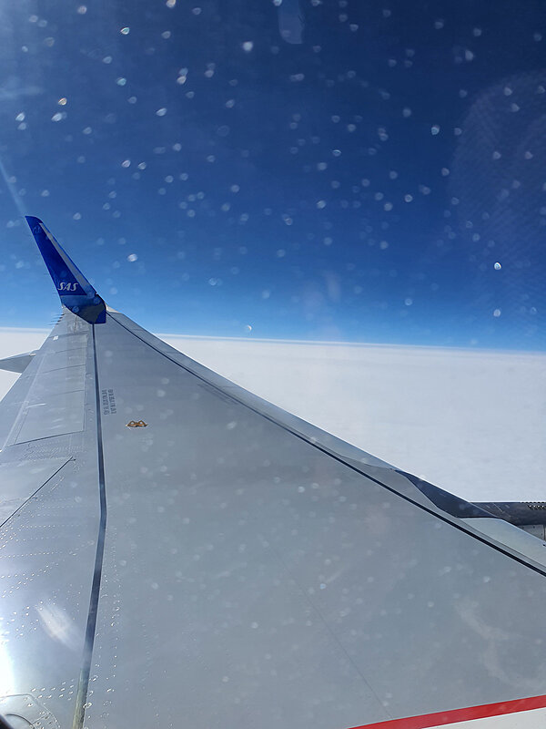 Flyvinge