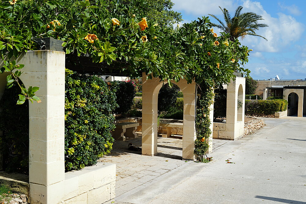 Pergola