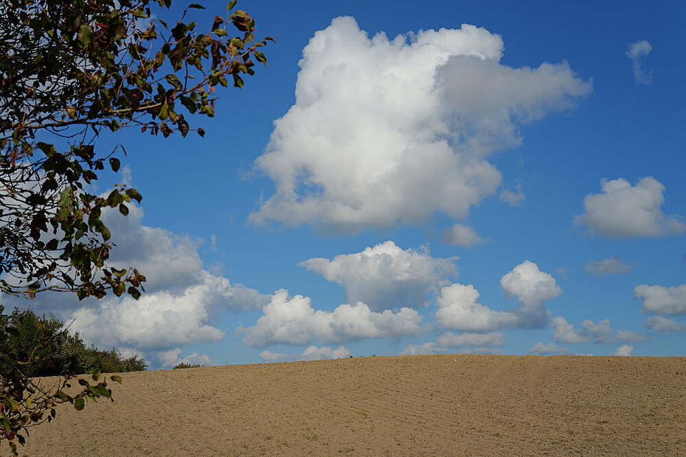 Cumulus