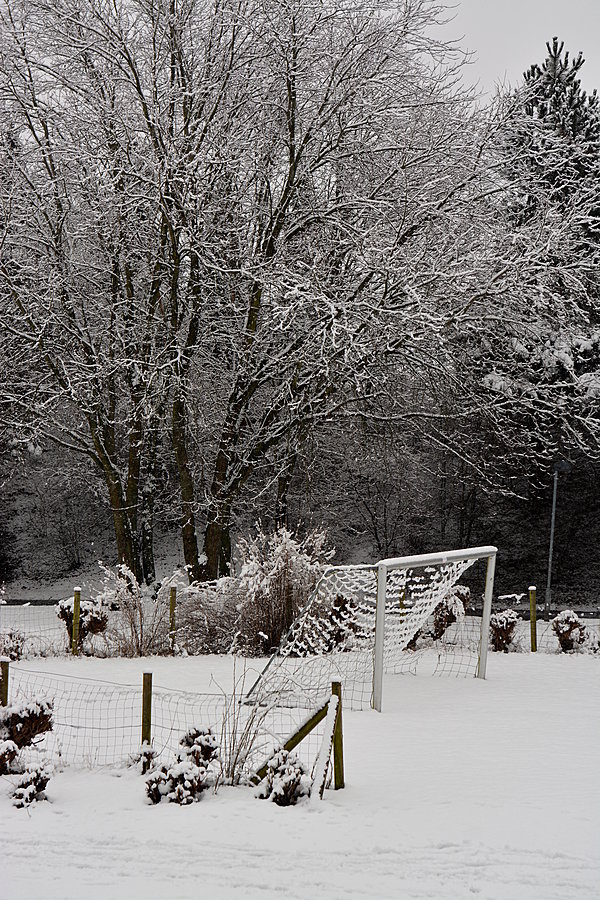 vinter