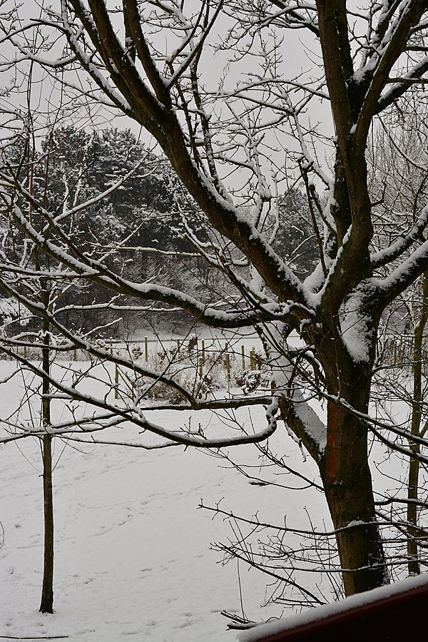 Vinter